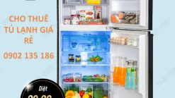 Dịch vụ cho thuê tủ lạnh 234 lít phục vụ hội chợ, triển lãm, sự kiện giá rẻ