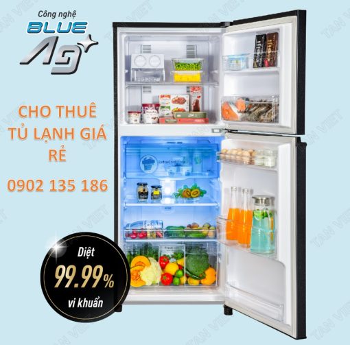Dịch vụ cho thuê tủ lạnh 234 lít phục vụ hội chợ, triển lãm, sự kiện giá rẻ