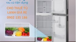 Cho thuê tủ lạnh 286 lít chính hãng Funiki - Hòa phát, mới 99,99%, đẹp, sang trọng, giá rẻ