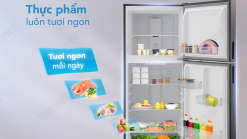 Công ty cho thuê tủ lạnh chính hãng, đời mới, chuyên nghiệp, chất lượng, giá rẻ