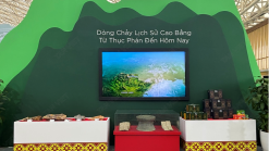 Dịch vụ cho thuê tivi 100 inch lắp đặt tại các gian hàng triển lãm A80 năm 2025