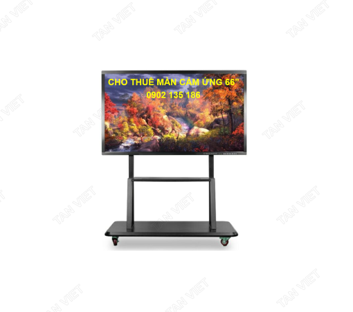 Dịch vụ cho thuê màn hình cảm ứng 65 inch chính hãng, giá rẻ